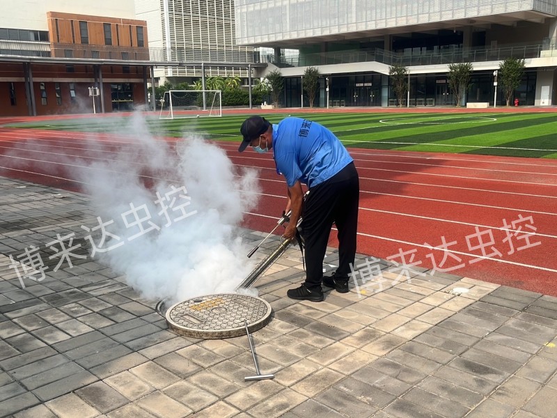 深圳消殺公司：2022年秋季開(kāi)學(xué)，各中小學(xué)幼學(xué)校加強(qiáng)病媒生物防治工作