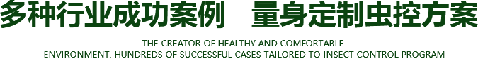 深圳白蟻消殺