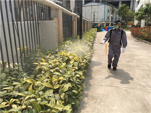小區(qū)公共綠化帶消殺